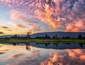 委内瑞拉篮球队惨遭乌拉圭绝杀,无缘奥运半决赛