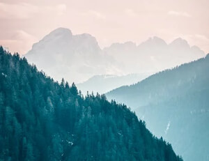 候桑女篮战胜科威特,挺进奥运次轮